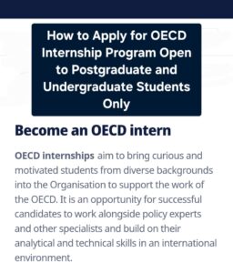 OECD internship program