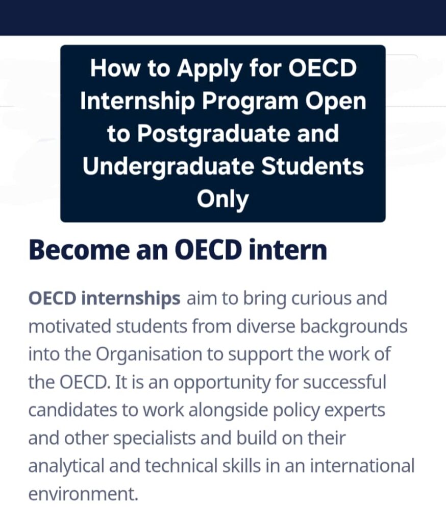 OECD internship program