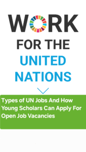 Types of UN Jobs And How Young Scholars Can Apply