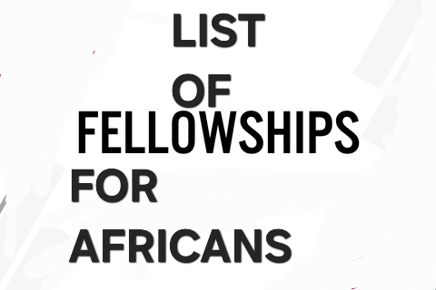 Fellowships African Scholars should Apply